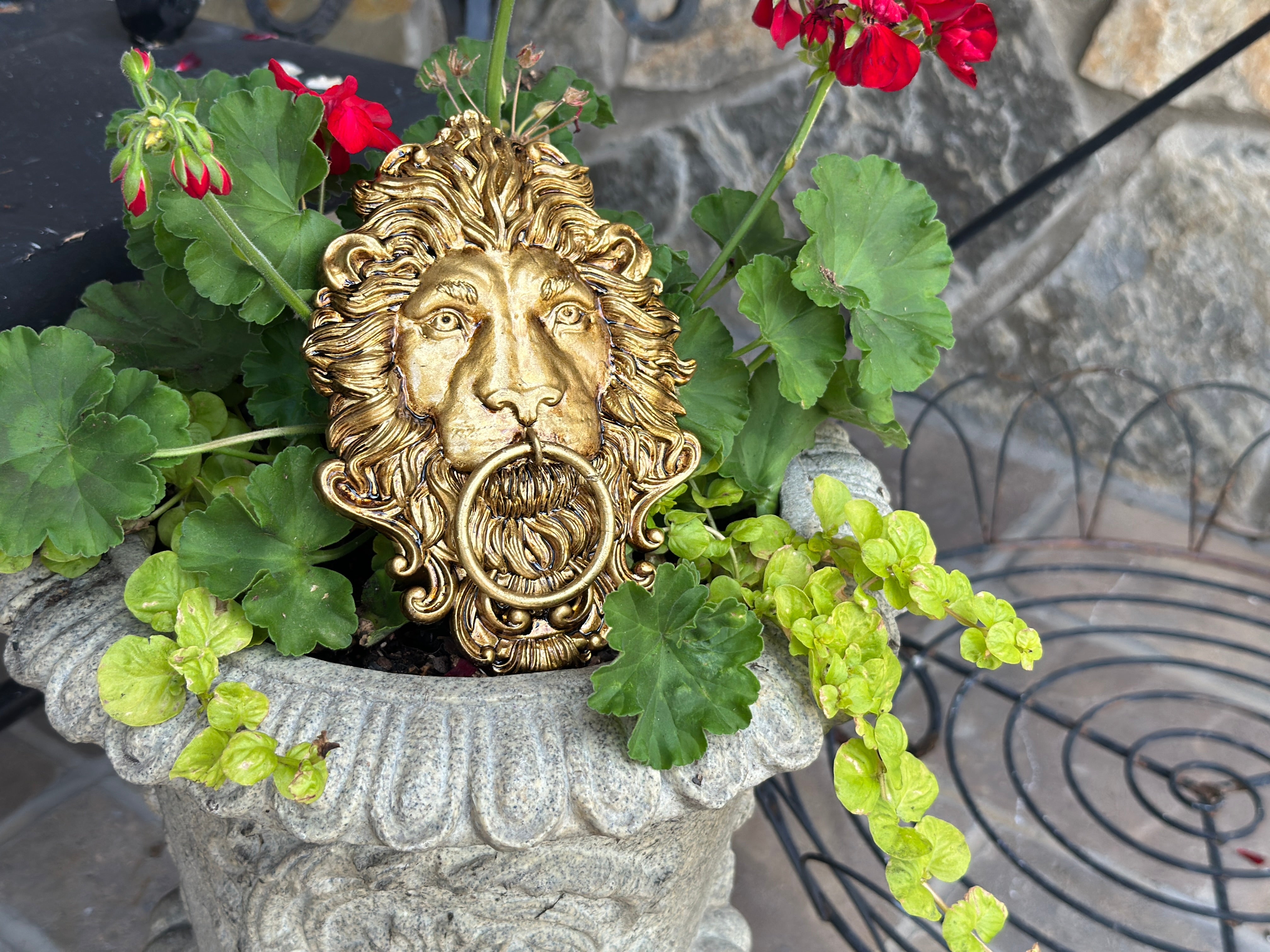 IOD 2025 Summer Release