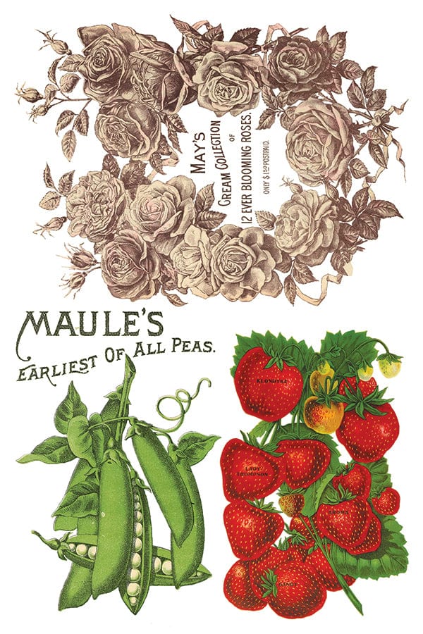 Seed Catalogue Transfer IOD New Summer Collection Release 2023 Pickin' Boots Vintage