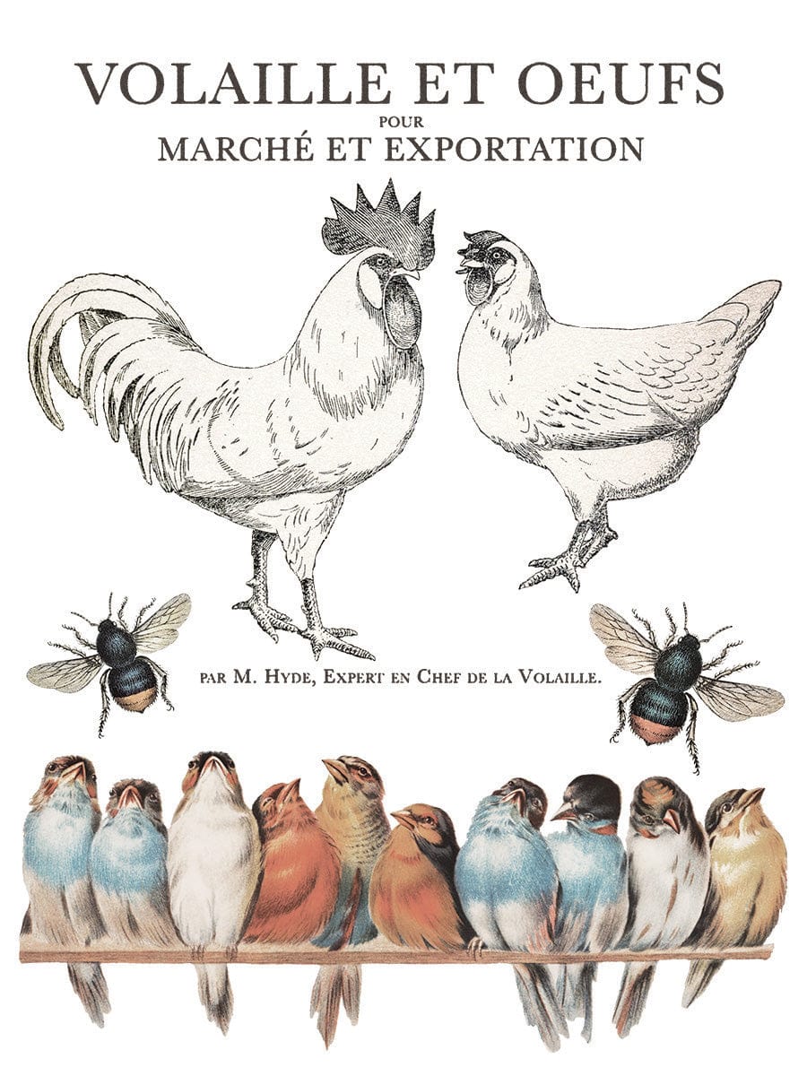 Brocante Transfer by IOD Pickin' Boots Vintage