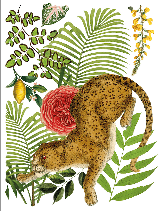 Bungalow Transfer Pickin' Boots Vintage