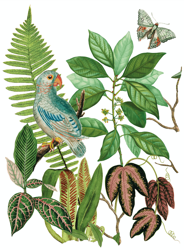 Bungalow Transfer Pickin' Boots Vintage