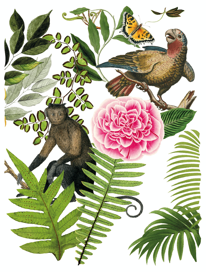 Bungalow Transfer Pickin' Boots Vintage