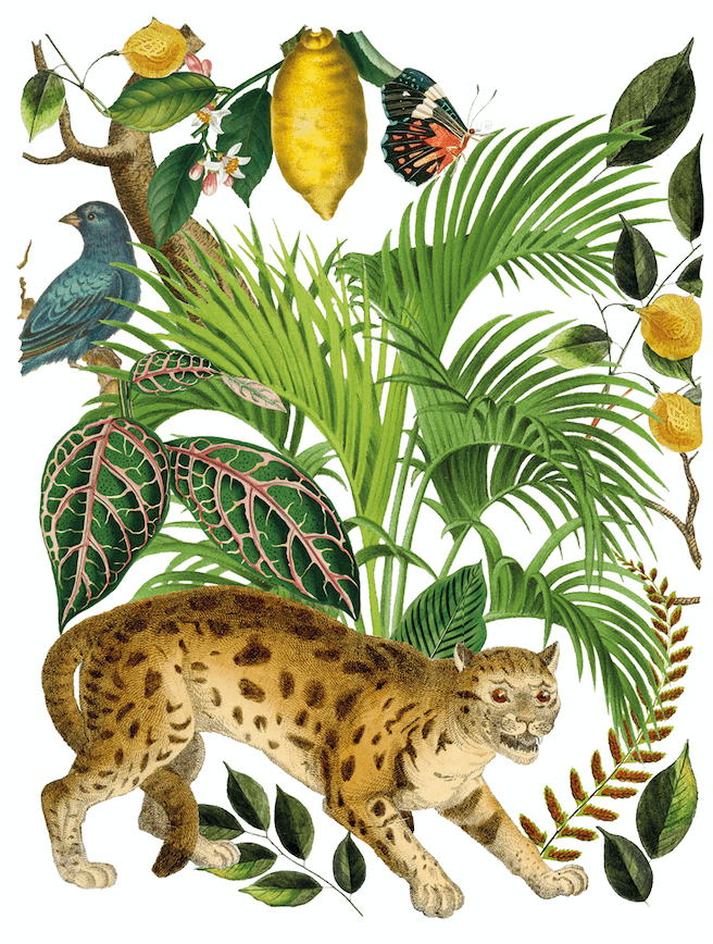 Bungalow Transfer Pickin' Boots Vintage