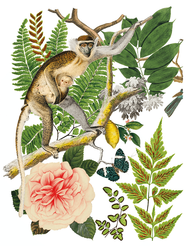 Bungalow Transfer Pickin' Boots Vintage