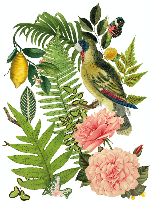 Bungalow Transfer Pickin' Boots Vintage