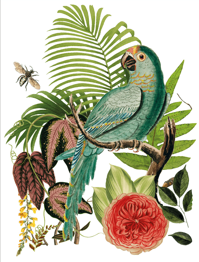 Bungalow Transfer Pickin' Boots Vintage