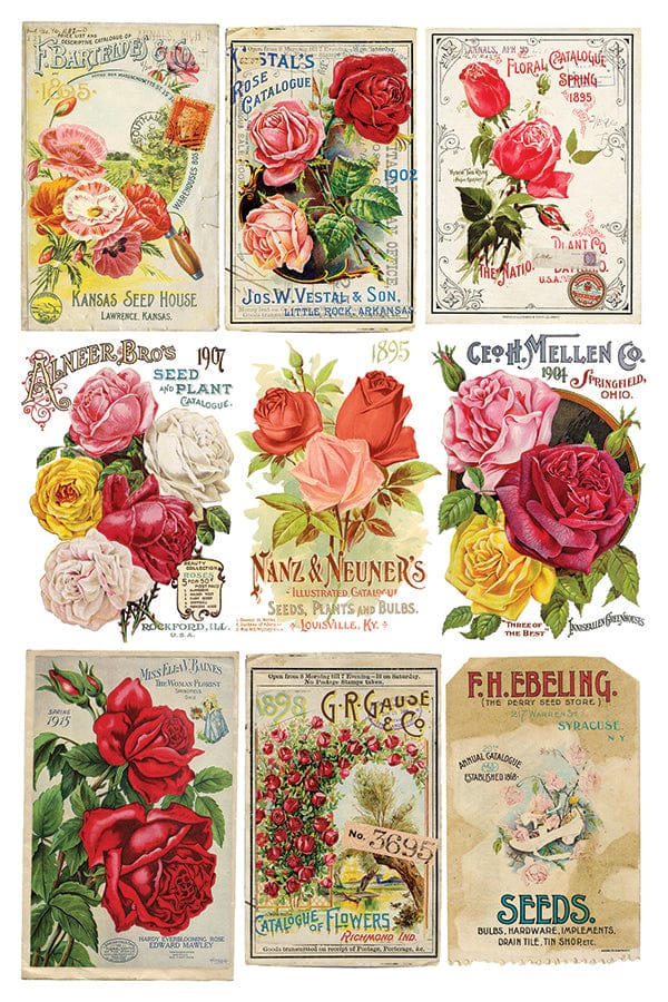 Ephemeral Melange Transfer Pickin' Boots Vintage