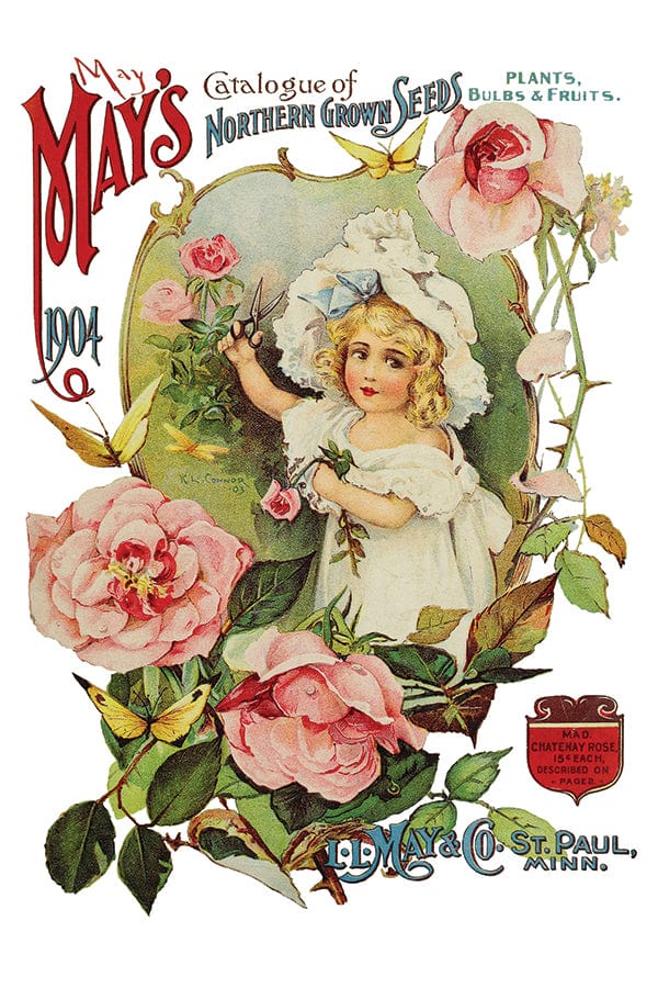 Ephemeral Melange Transfer Pickin' Boots Vintage