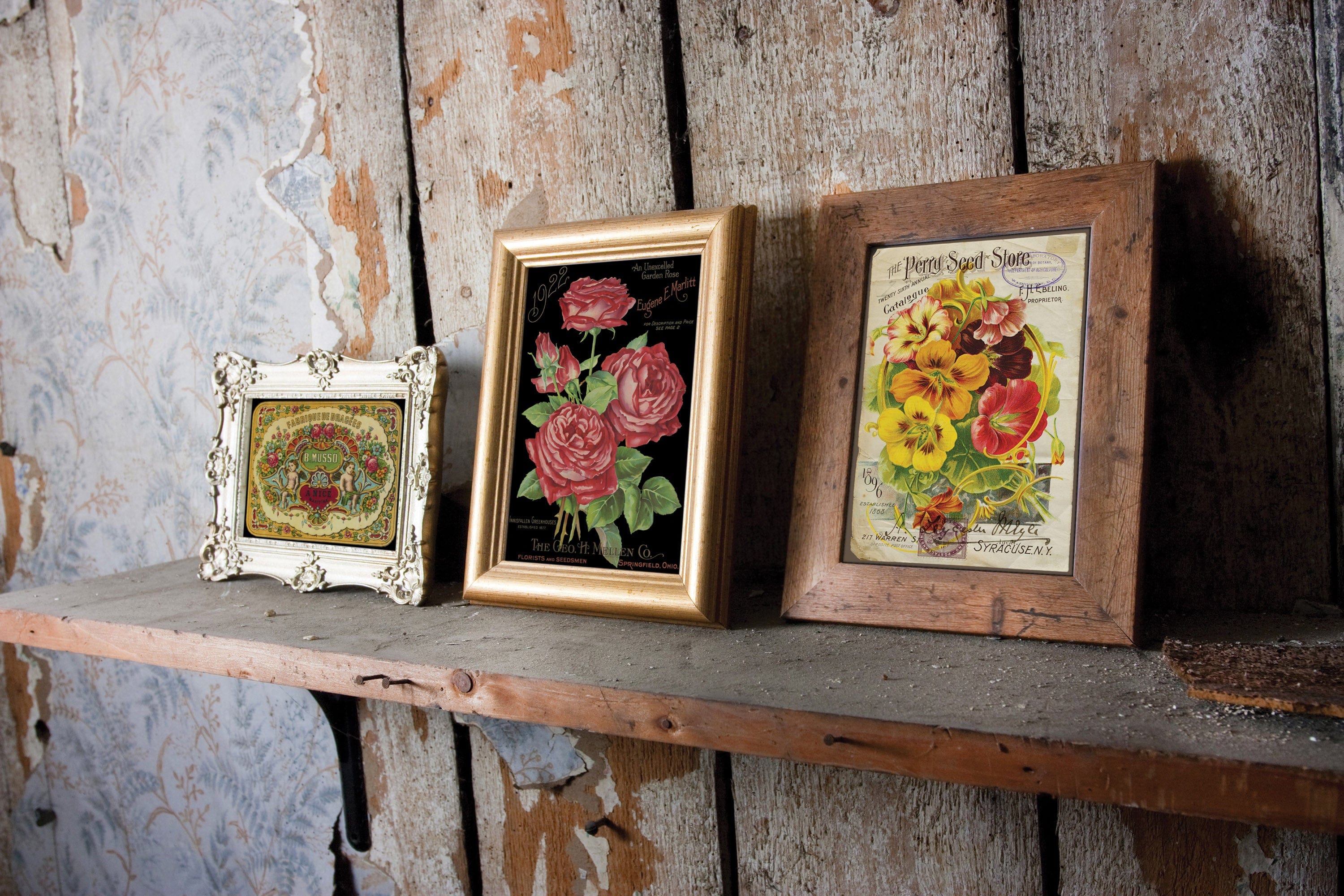 Ephemeral Melange Transfer Pickin' Boots Vintage