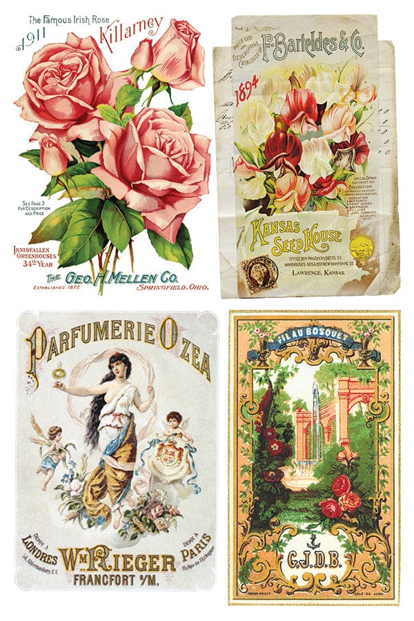 Ephemeral Melange Transfer Pickin' Boots Vintage