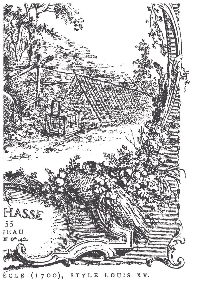 La Chasse Paint Inlay by IOD Pickin' Boots Vintage