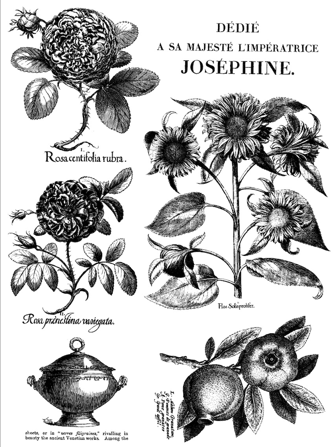 Melange Paint Inlay by IOD New 2023 Spring Release Pickin' Boots Vintage