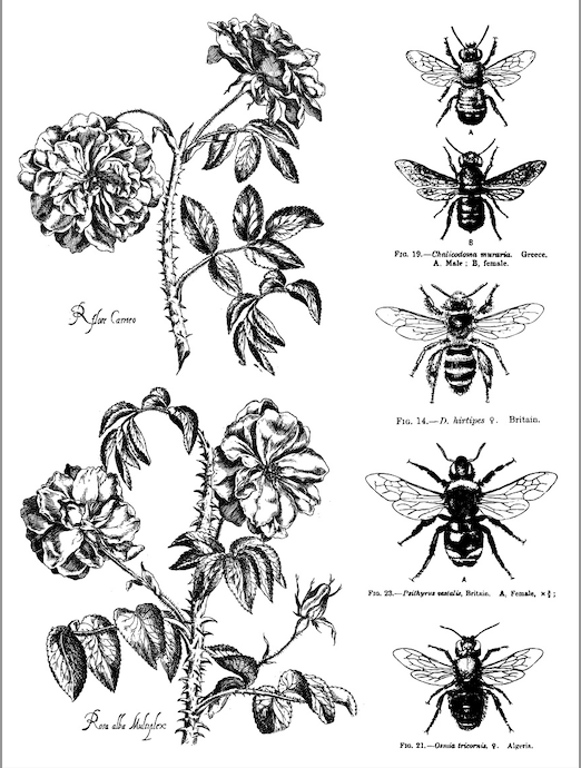 Melange Paint Inlay by IOD New 2023 Spring Release Pickin' Boots Vintage