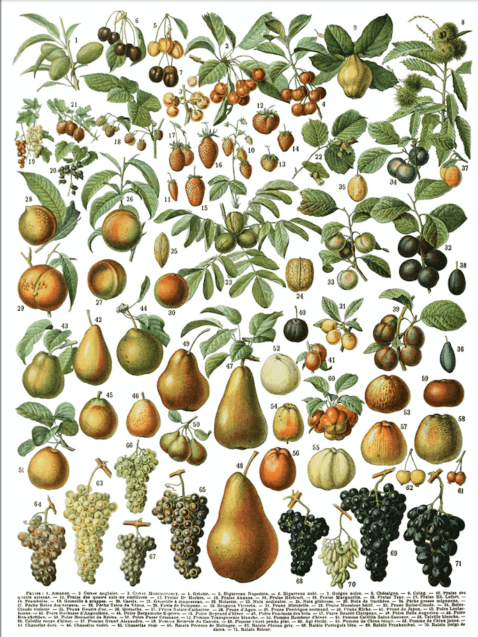 Millot's Pages Transfer New 2023 Spring Release Pickin' Boots Vintage