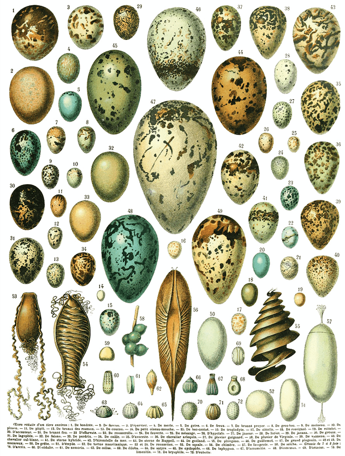 Millot's Pages Transfer New 2023 Spring Release Pickin' Boots Vintage