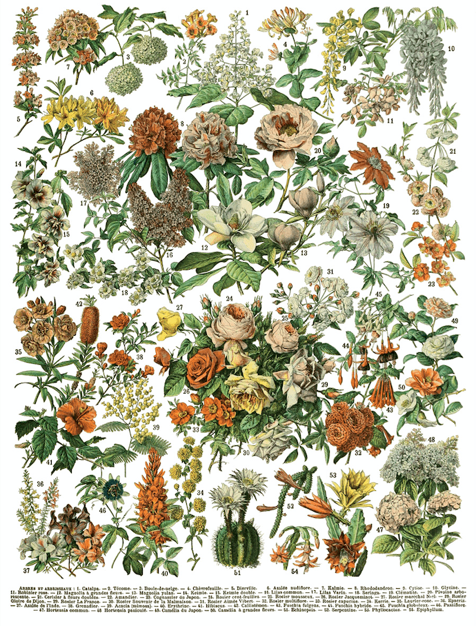 Millot's Pages Transfer New 2023 Spring Release Pickin' Boots Vintage