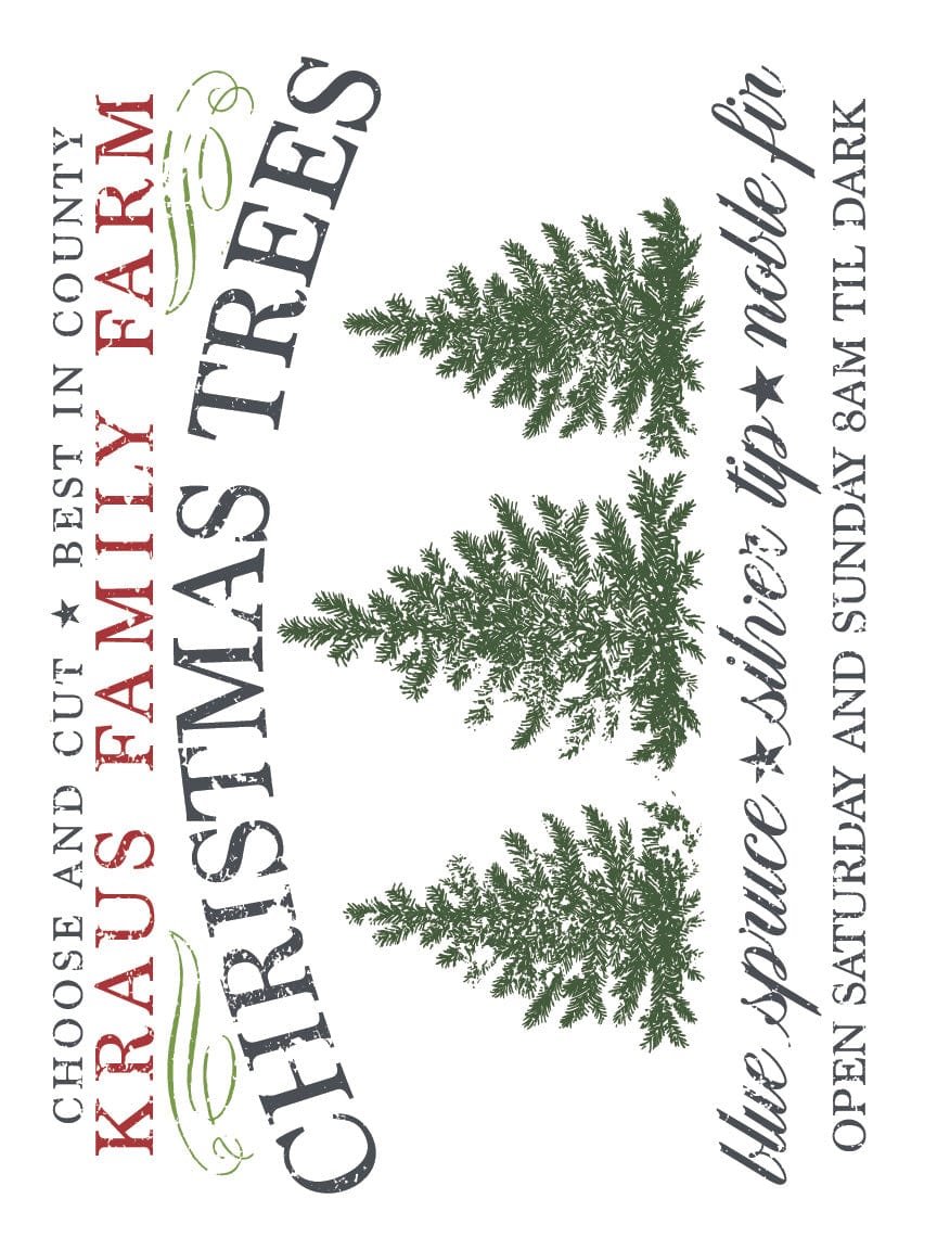 Noel Paint Inlay Christmas Paint Inlay by IOD Pickin' Boots Vintage