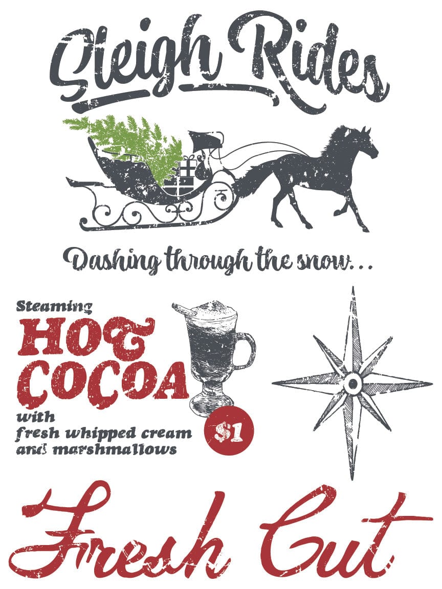 Noel Paint Inlay Christmas Paint Inlay by IOD Pickin' Boots Vintage