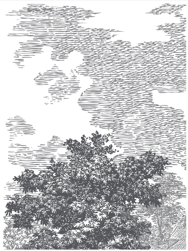 Summer Villa Paint Inlay by IOD New 2023 Spring Release Pickin' Boots Vintage