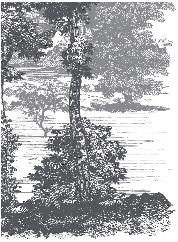 Summer Villa Paint Inlay by IOD New 2023 Spring Release Pickin' Boots Vintage