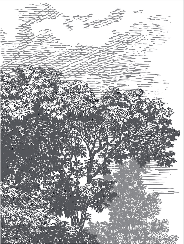 Summer Villa Paint Inlay by IOD New 2023 Spring Release Pickin' Boots Vintage