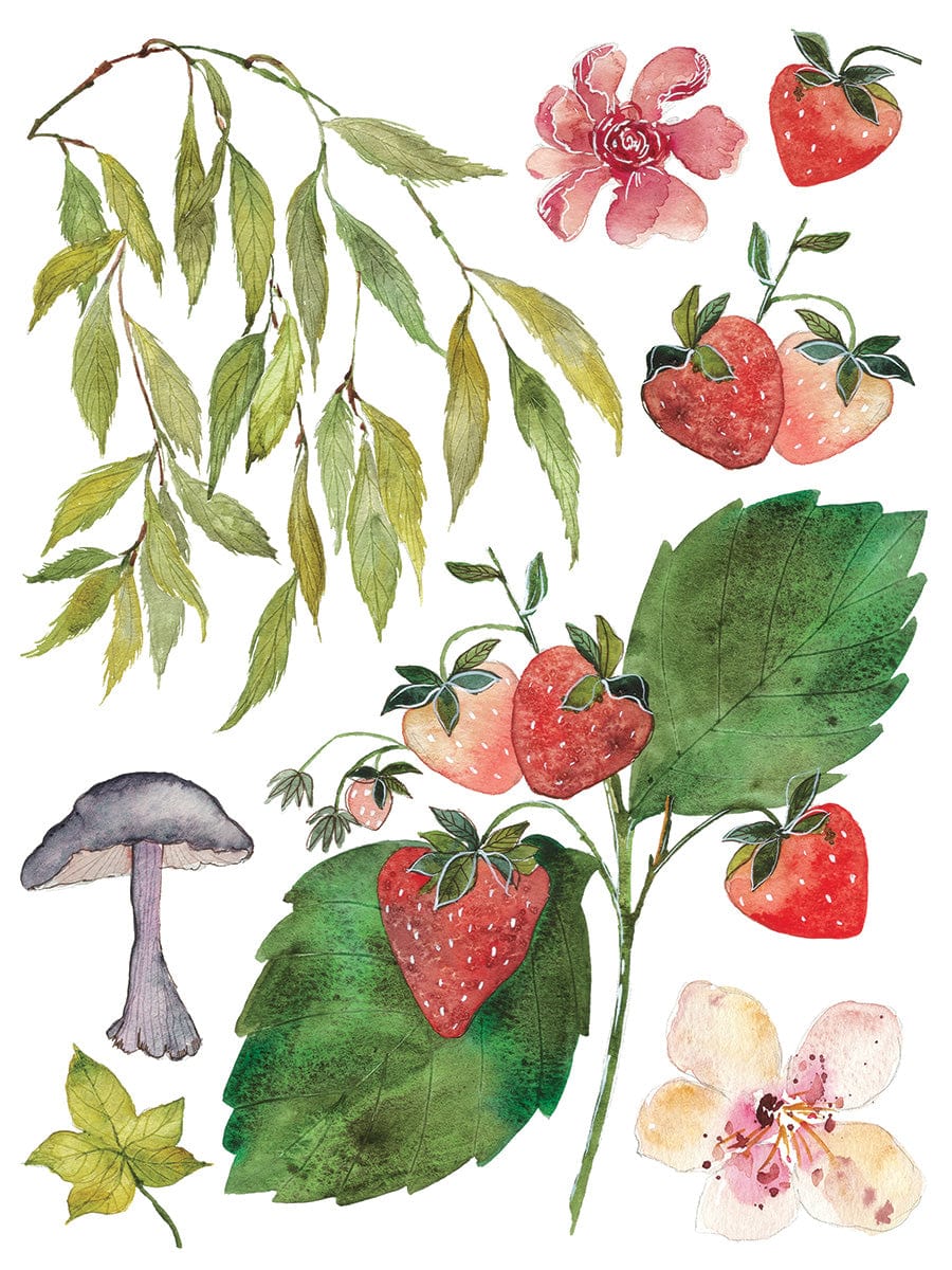 Whispering Willow Transfer by IOD Pickin' Boots Vintage