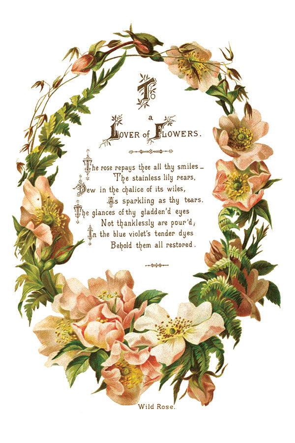 iod flower and poem transfer