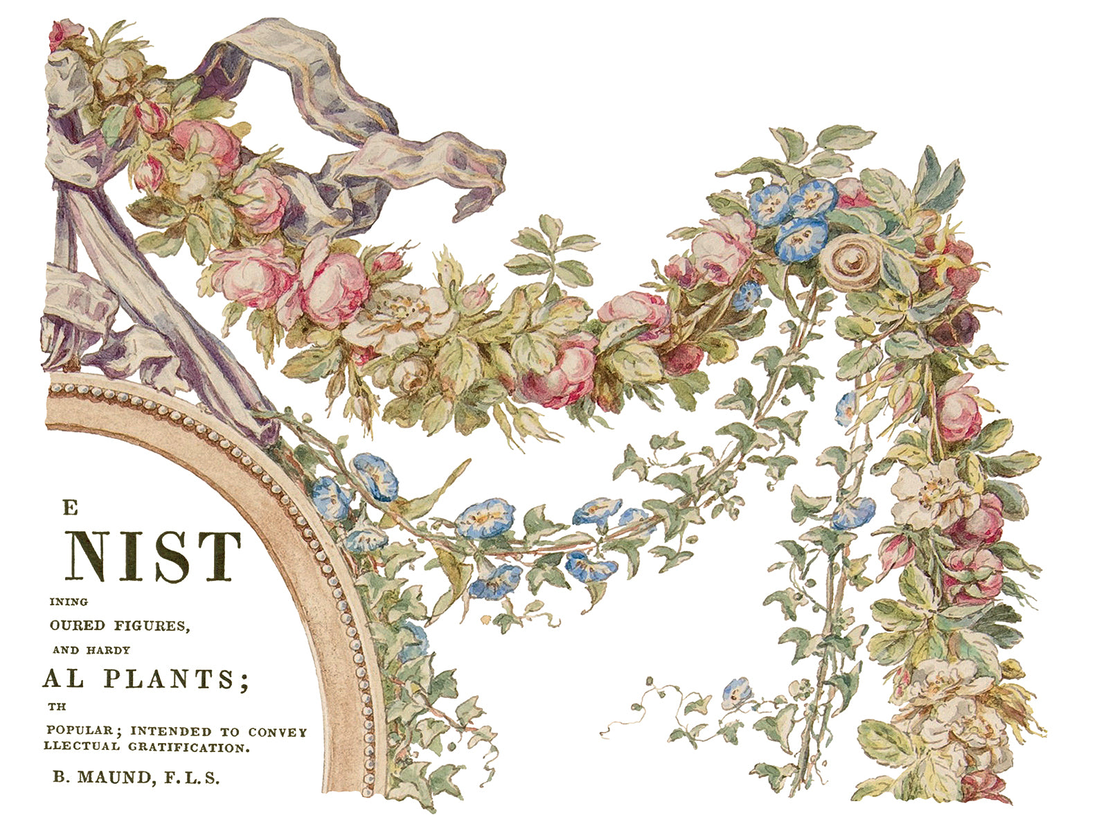 The Botanist Transfer  IOD New Summer Collection Release 2023