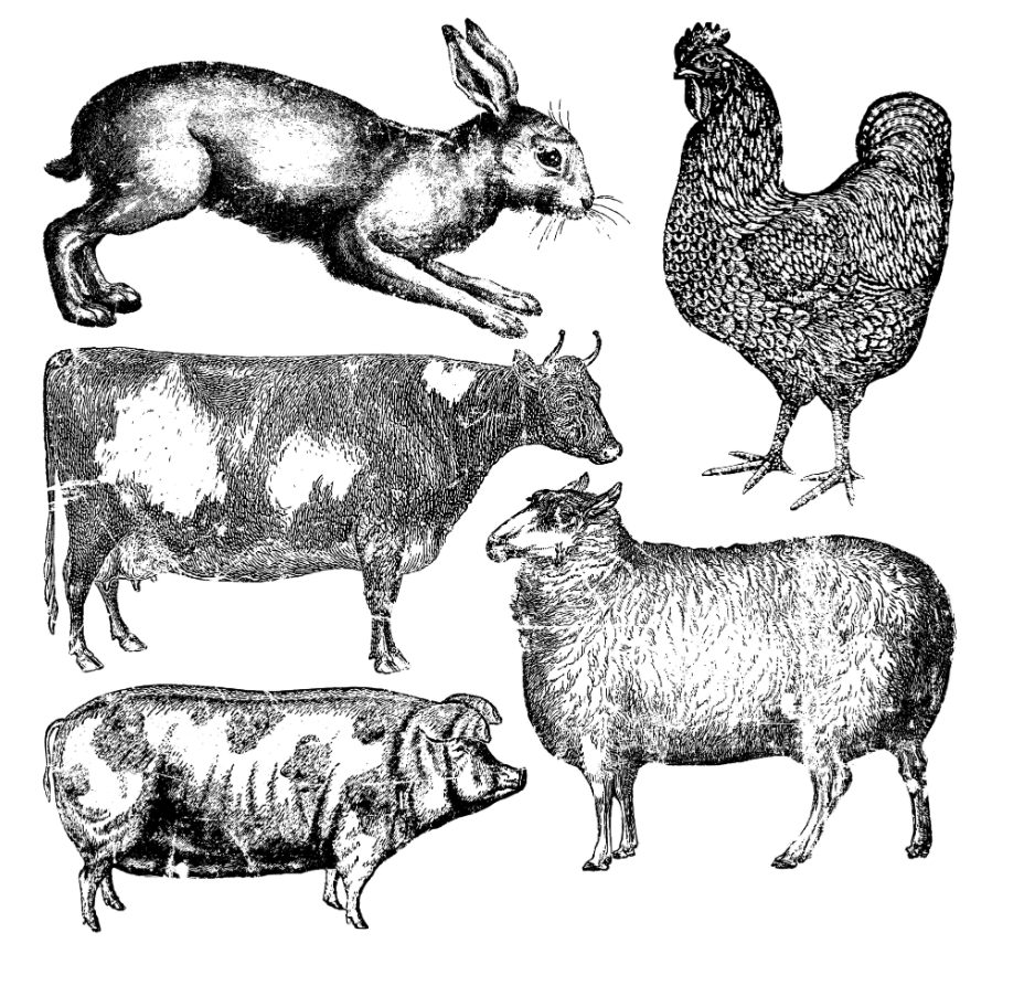 Farm Animals Stamp IOD