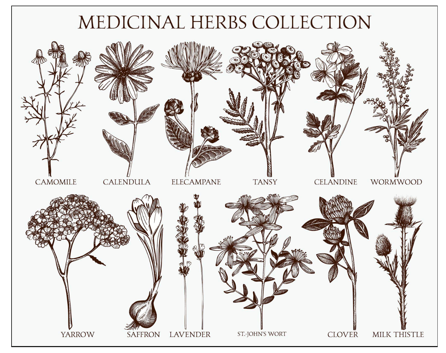 Apothecary & Botanical Rice Paper Decoupage  Printables