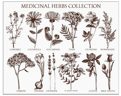 Apothecary & Botanical Rice Paper Decoupage  Printables