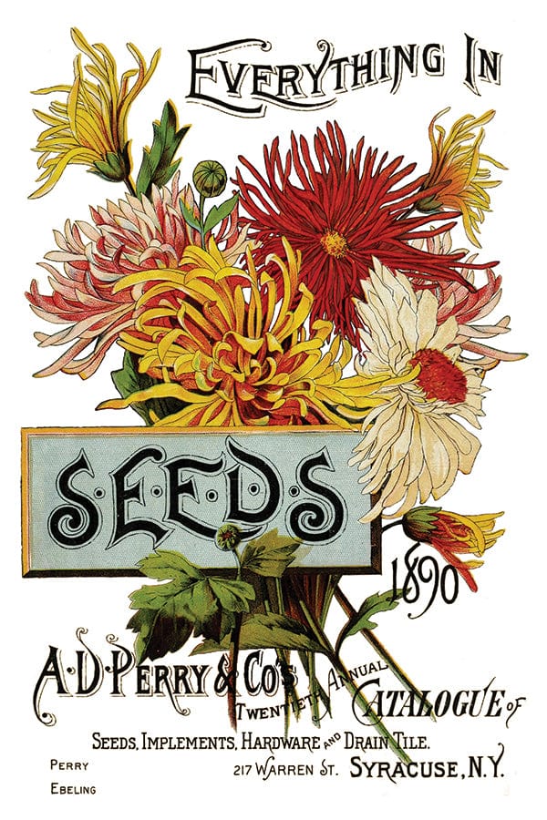 Seed Catalogue Transfer IOD New Summer Collection Release 2023 Pickin' Boots Vintage