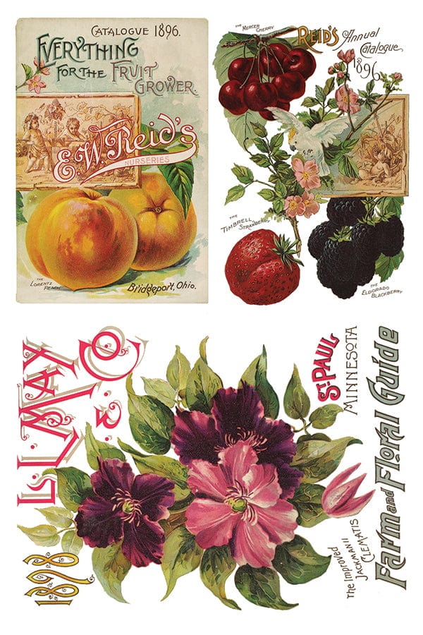 Seed Catalogue Transfer IOD New Summer Collection Release 2023 Pickin' Boots Vintage