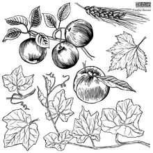 Load image into Gallery viewer, Fruitful Harvest Stamp  IOD