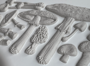 Toadstool Mould New Spring Release 2023