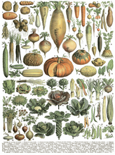 Load image into Gallery viewer, vegetable transfer IOD